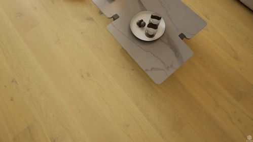 梵 戴克地板 現代輕奢風格產品效果圖