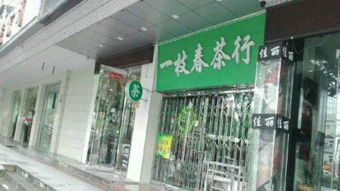 黃山路精裝修旺鋪急轉，毗鄰中科大第四醫院，理想精品水果店選址